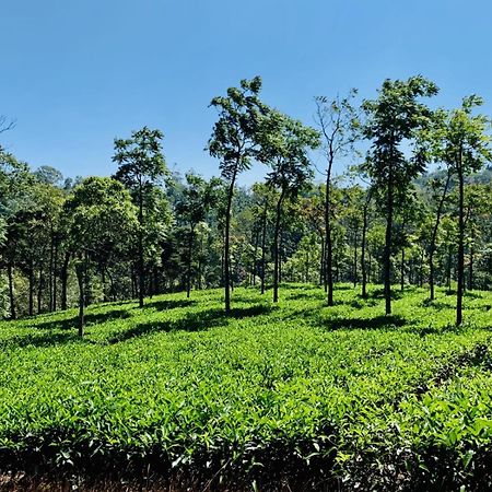 Vandiperiyār Cassells Jungle Resorts Thekkady מראה חיצוני תמונה