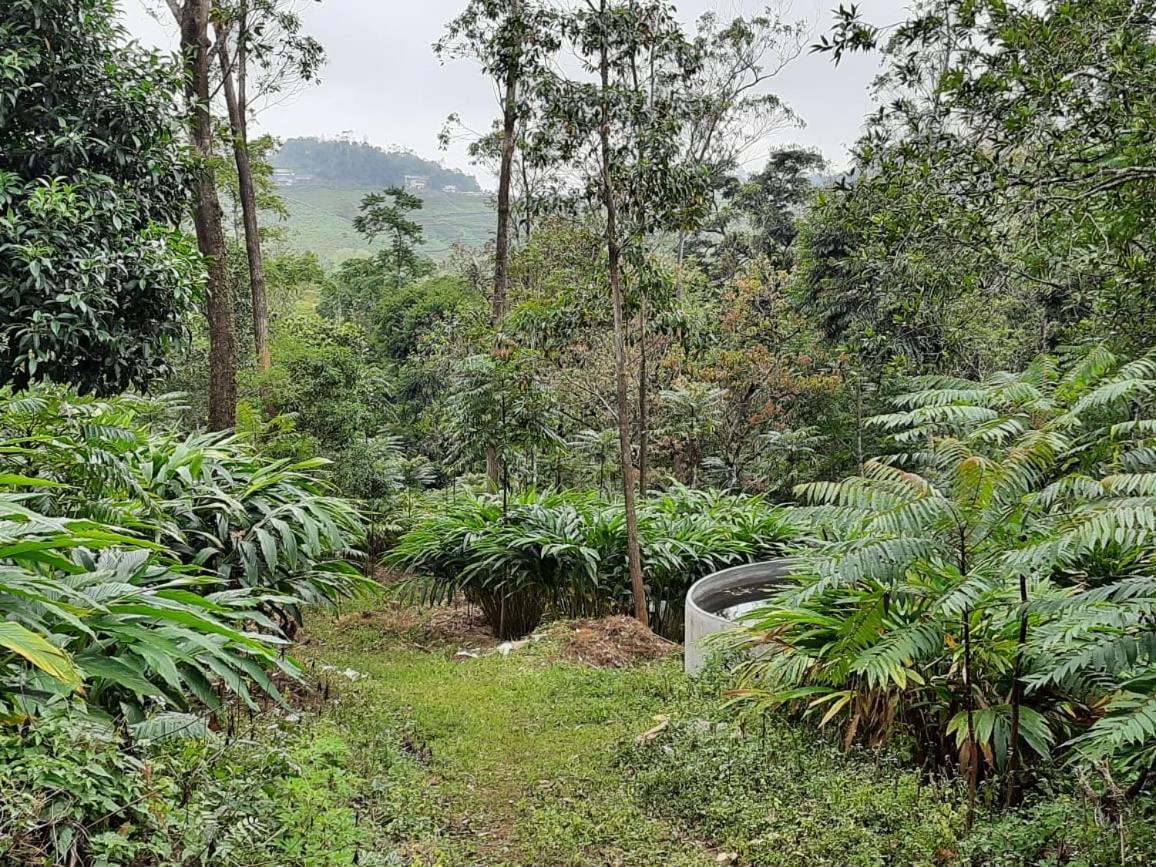 Vandiperiyār Cassells Jungle Resorts Thekkady מראה חיצוני תמונה