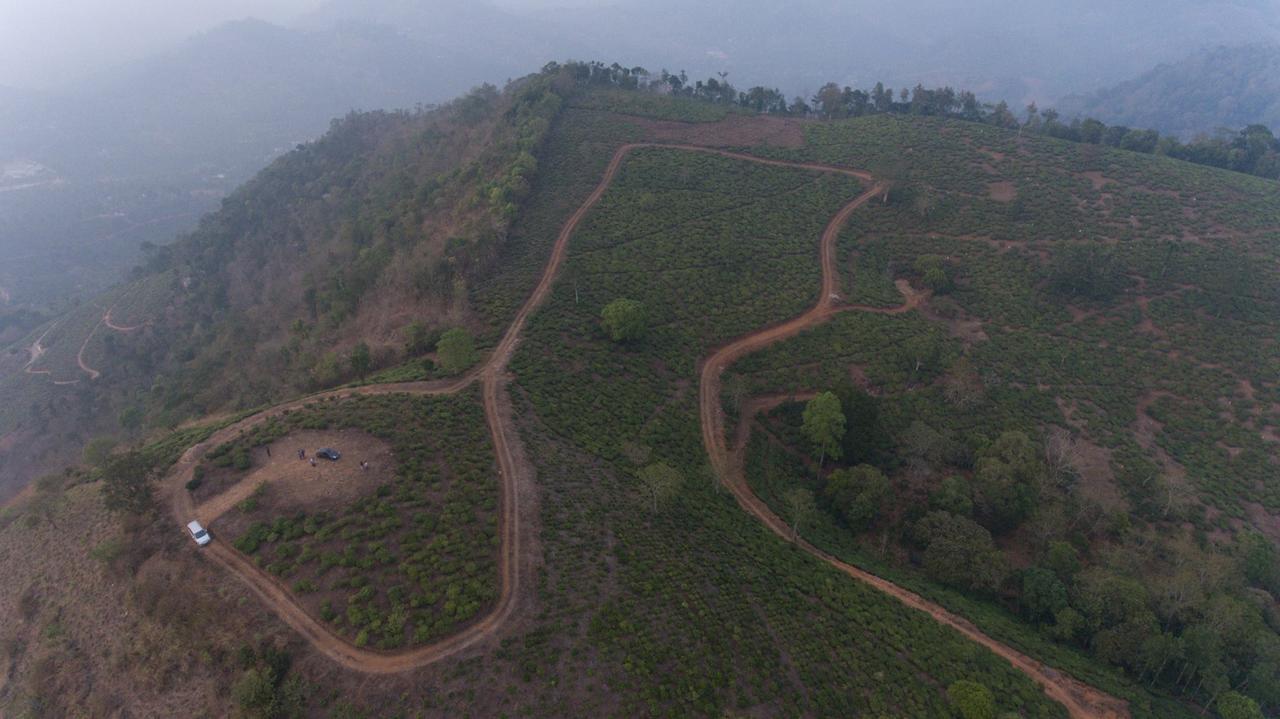 Vandiperiyār Cassells Jungle Resorts Thekkady מראה חיצוני תמונה