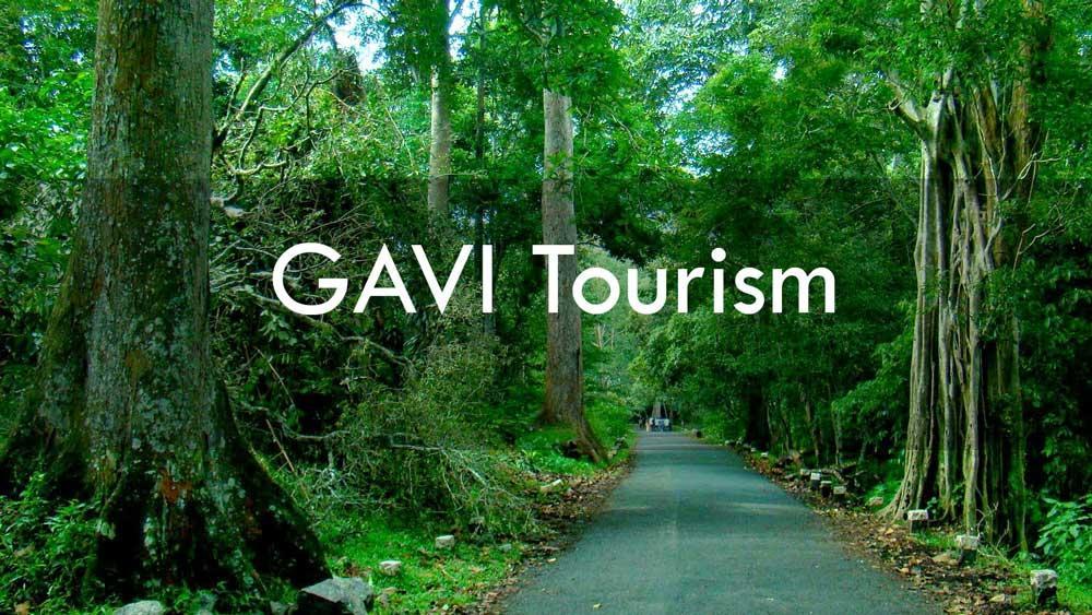 Vandiperiyār Cassells Jungle Resorts Thekkady מראה חיצוני תמונה